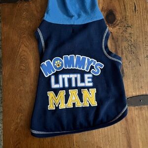 Dog Hoodie - Blue and Yellow